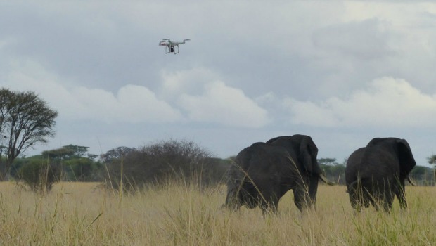 Drones-2-Elephants-pushed-with-drone-1067x800