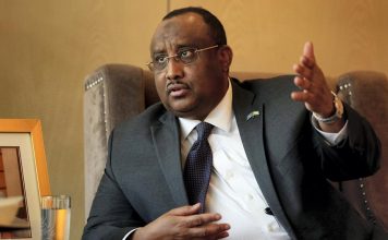 UAE role is crucial, says Puntland regional leader