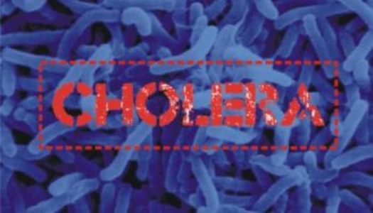 cholera2-e1513862647332