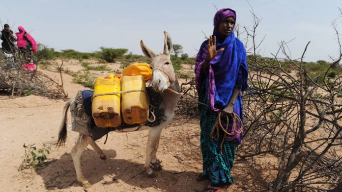 woman donkey pose for a pic