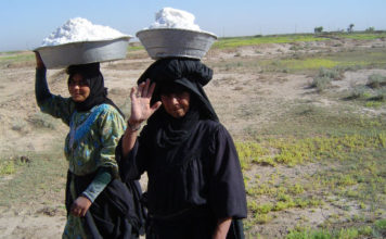 The Other Side of the Western Notion of Islam, Muslims