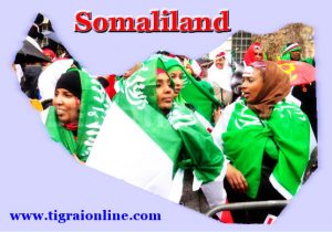 Somaliland_celebrates_25_years_of_independence_on_18_May_206-300x210