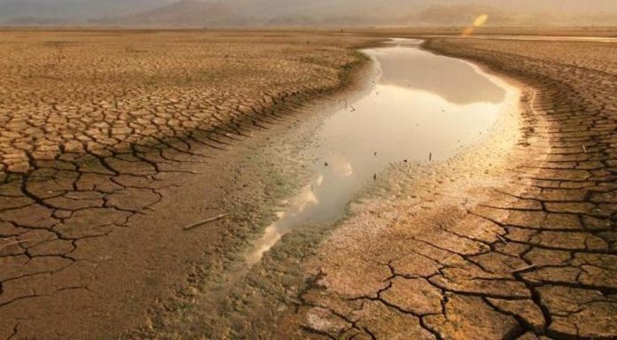 Drought