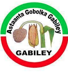 Gabiley
