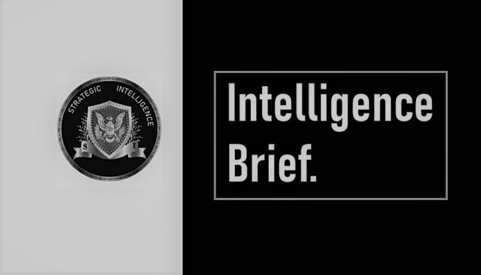 int-brief-log