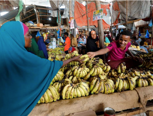 Somalia Banana