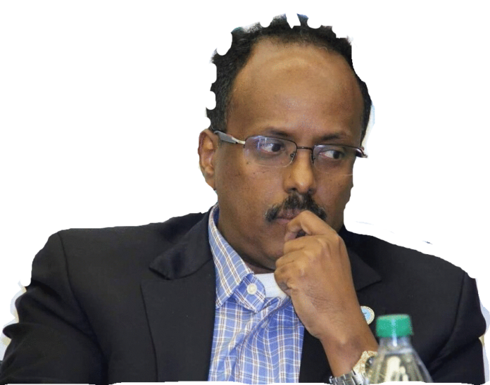 Sinking Farmajo