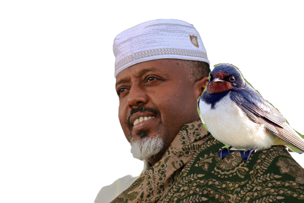 JMJ Swallow