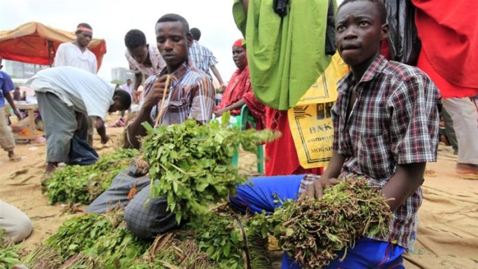 Khat