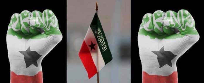 Somaliland Fist
