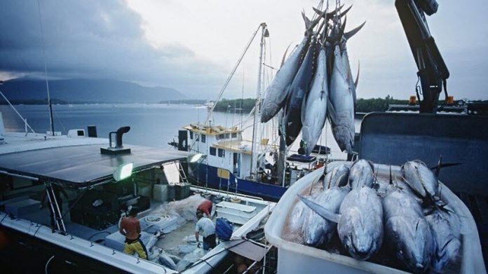 Somaliland Fishery