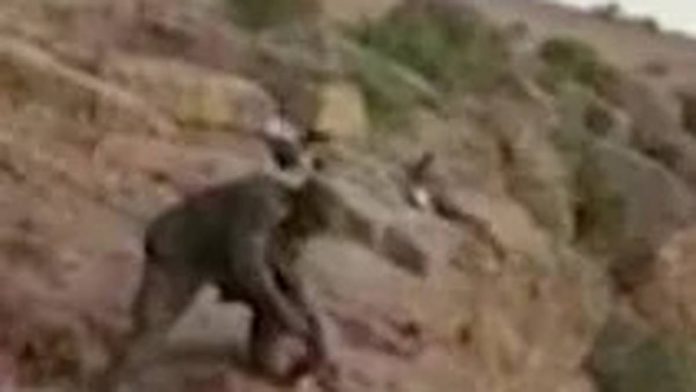 Tigray Massacre