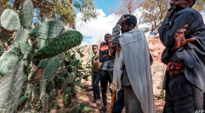Tigray.