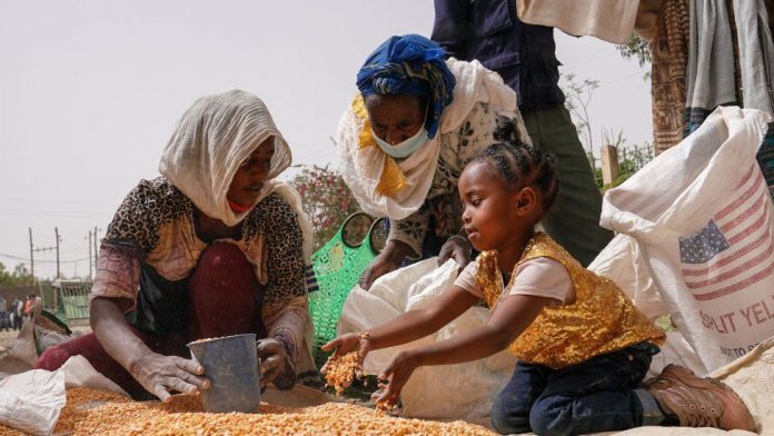 _119550631_tigray1