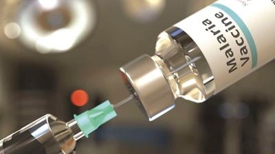Malaria vaccine