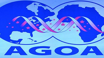 Why the US Suspended Ethiopia, Mali, Guinea From AGOA Free-Trade Deal