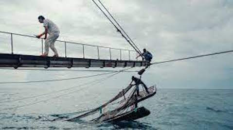 Africa fishery