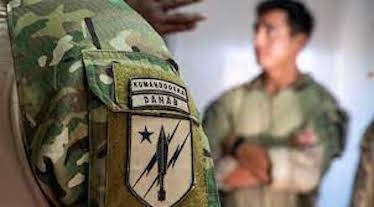 Danab