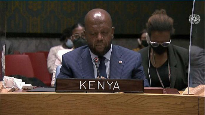Kenya Amb UN