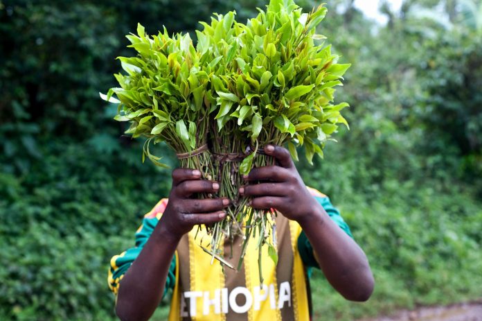 Khat