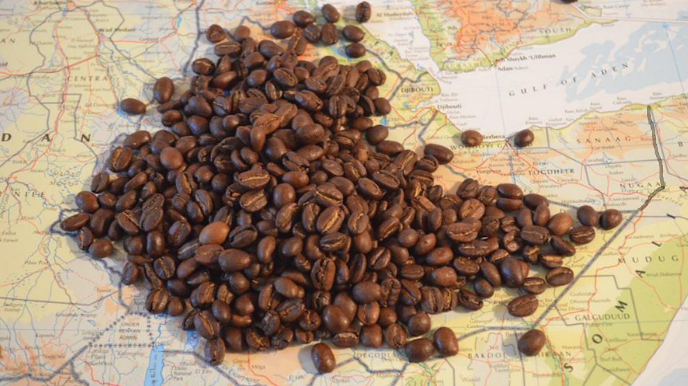Coffee