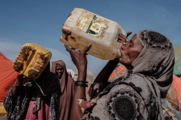 Screenshot 2022-10-14 at 20-17-43 Why Hardly Anyone Has Noticed Somalia's Having Its Worst Drought Ever