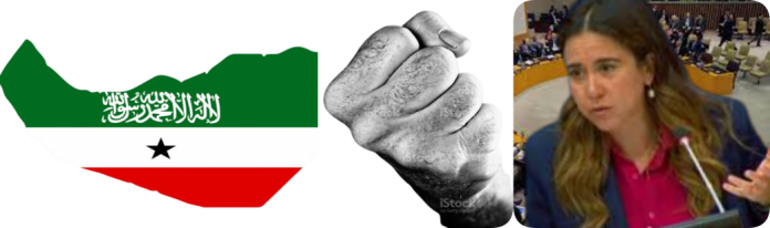 UNSC Hits Somaliland Hard