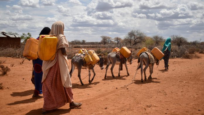 20220901 Ethiopia drought_Women going long distances to search for water- drought-affected communities Arale kebele Sewina woreda.2-Edited-2000x1333-282f2dd