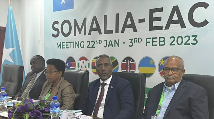 Screenshot 2023-09-05 at 11-00-29 The Horn Of Africa States The Blunders Of Somalia – OpEd