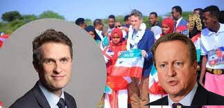 Gavin Cameron