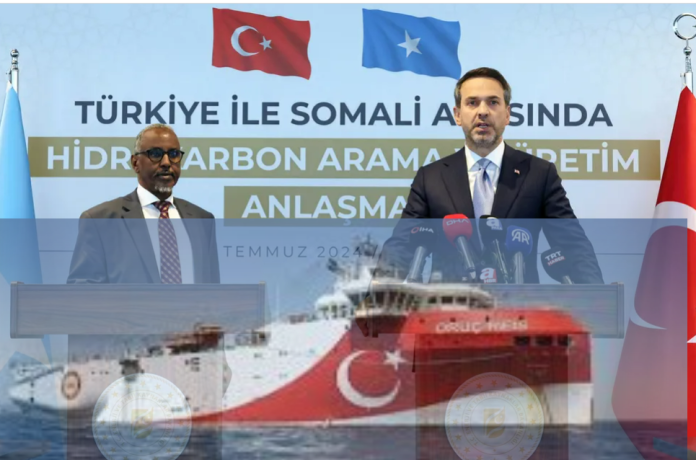 Turkish DW