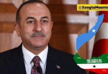 Çavuşoğlu’s Somaliland Regret: Turkey “Missed a Historic Strategic Opportunity” by Betting on Somalia