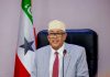 Somaliland Needs a Merit-Based Public Service, Not Political FavoritismÂ