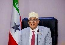 Somaliland Needs a Merit-Based Public Service, Not Political FavoritismÂ