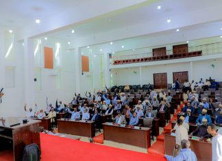 Somaliland Parliament Endorses President’s Recognition Mission, Calls for International Recognition in Joint Resolution