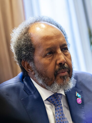 Hassan Sheikh